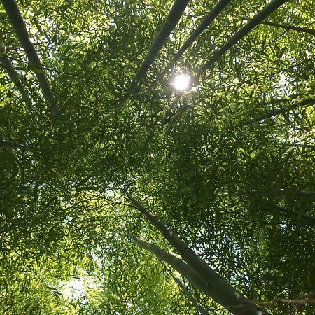 Le Domaine De Saint-Thomin Panzió Nostang Kültér fotó