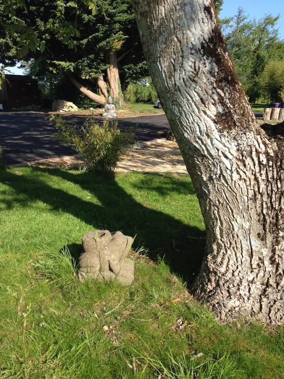 Le Domaine De Saint-Thomin Panzió Nostang Kültér fotó