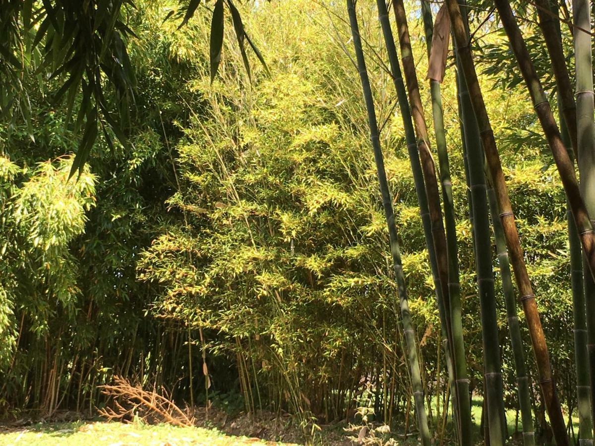 Le Domaine De Saint-Thomin Panzió Nostang Kültér fotó
